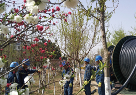 中國2014年青島世界園藝博覽會(huì )園區基礎設施配套項目電力工程